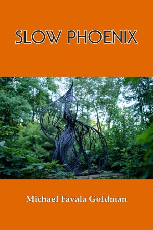 Michael Favala Goldman | Slow Phoenix, Front Cover