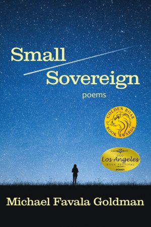 Small Sovereign by Michael Favala Goldman