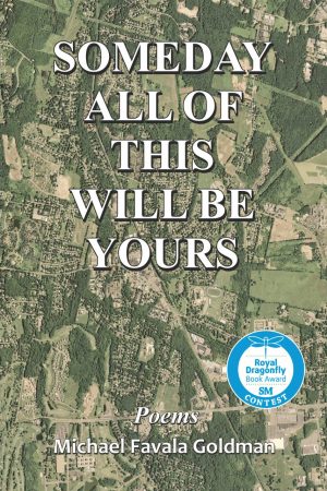 Someday All of This Will Be Yours Book Cover- Royal Dragonfly