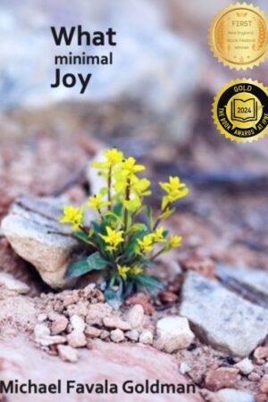 What Minimal Joy with IPNE